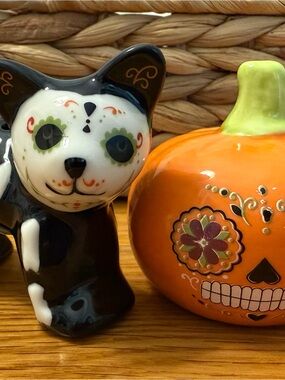 Ceramic Halloween Cat and Pumpkin Salt & Pepper Shaker Set.